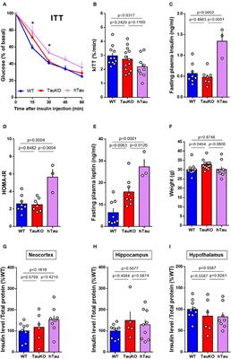 Behavioral Abnormalities in Knockout and Humanized Tau Mice